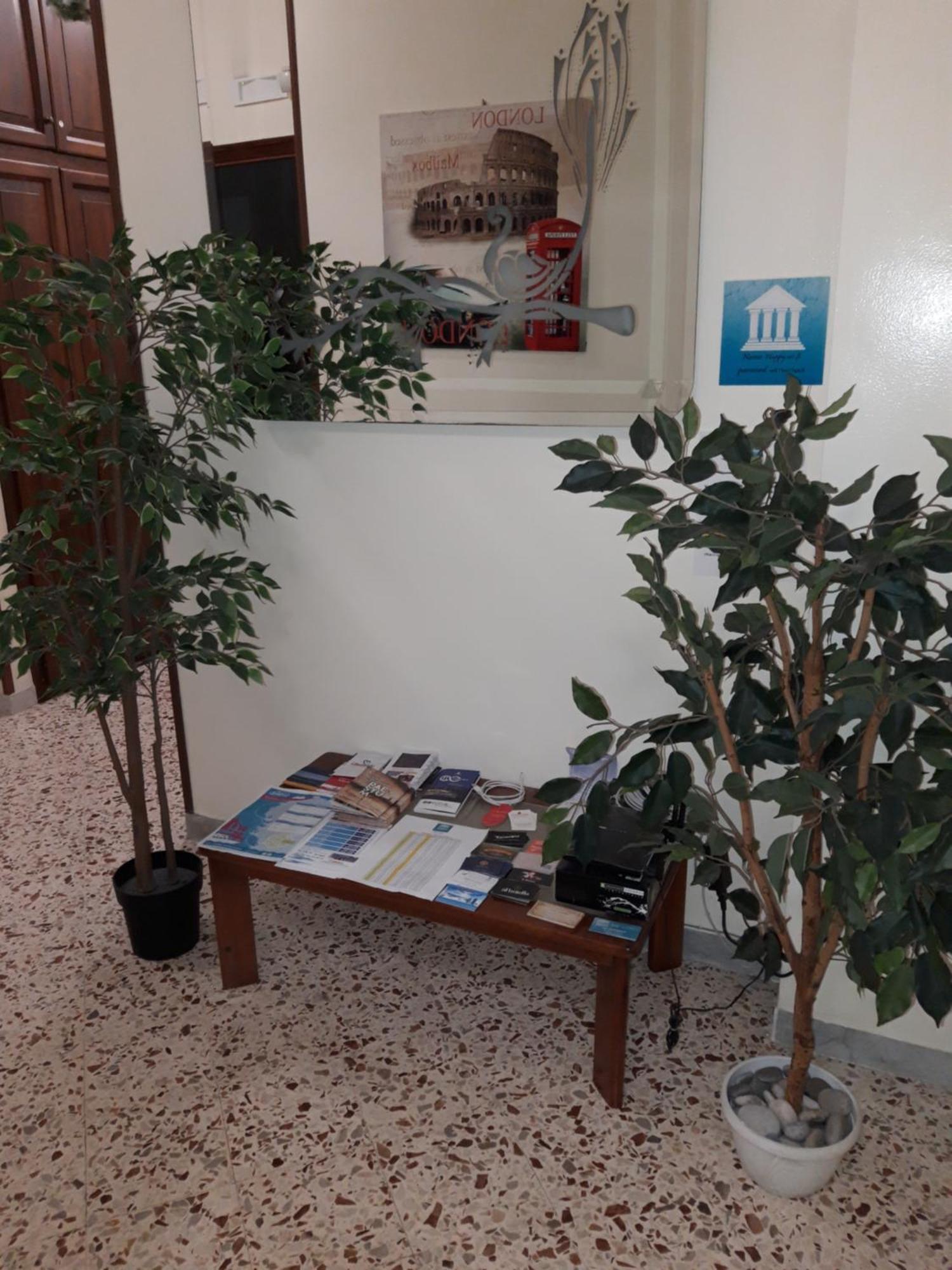 B&B Olympo Salernes Extérieur photo