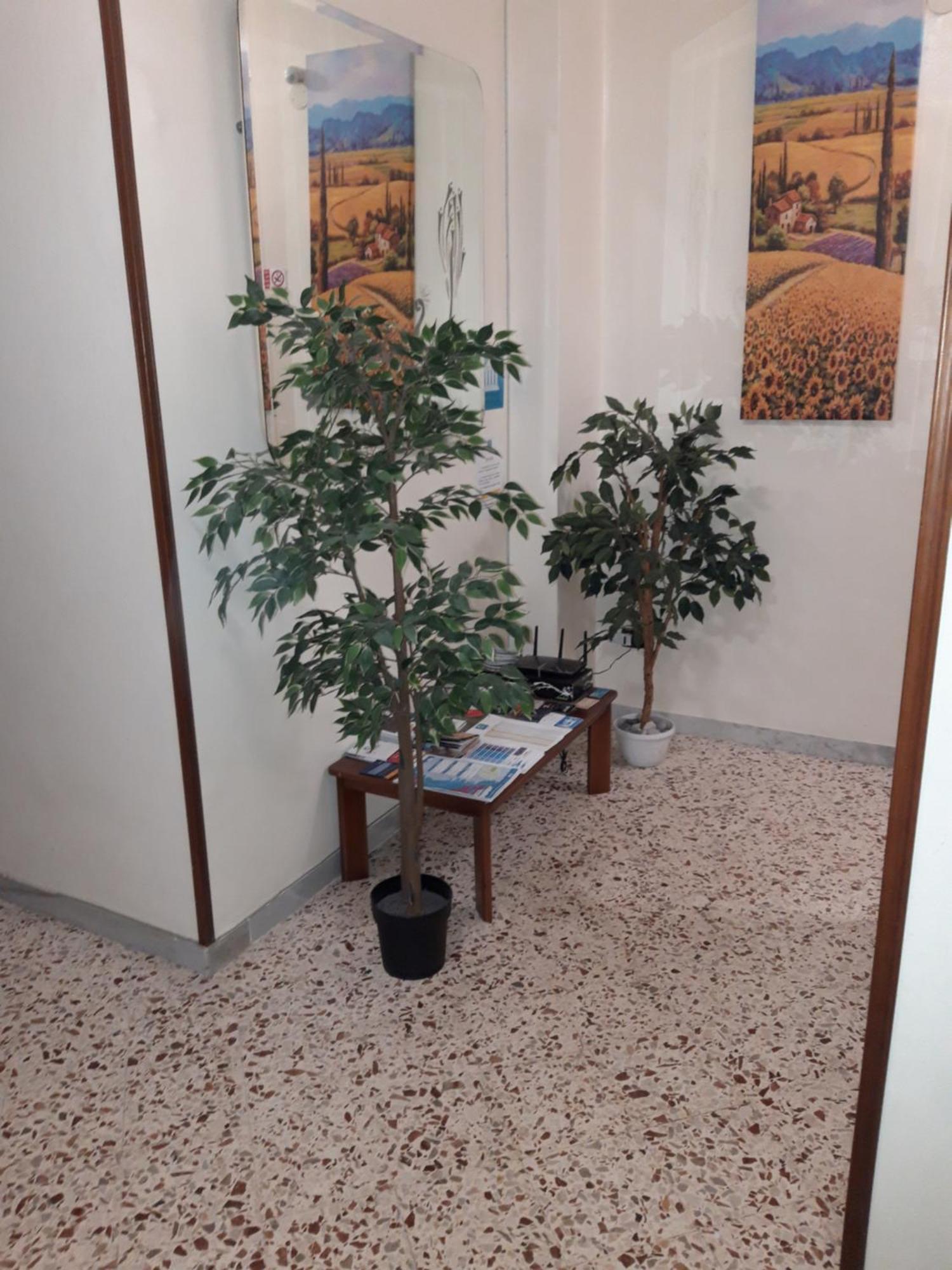 B&B Olympo Salernes Extérieur photo